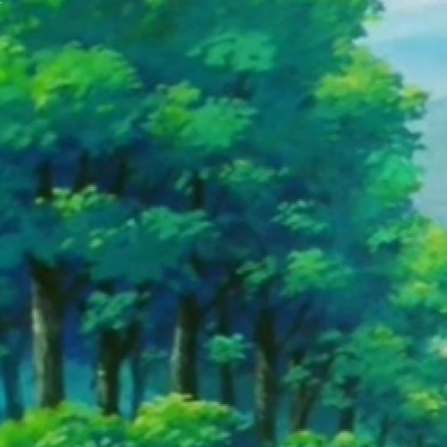 Moon Forest