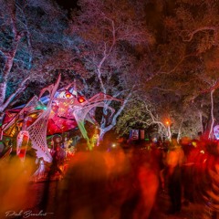 Labyr1nth - Freakshow Festival 2016