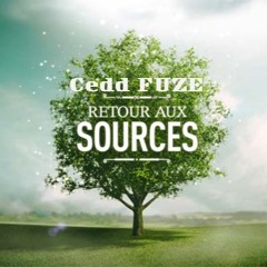 Retour aux Sources Part 2