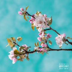 icantell - akathelonewolf (Prod. DezWright)