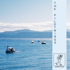 THE PILOTWINGS - SANPO 053