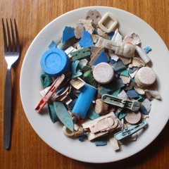 Plastic Ingestion World