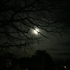 Screams unfinished rough mix