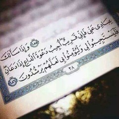 الشيخ محمد عبد الوهاب الطنطاوى...المؤمنون