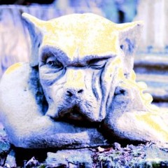 Pills For Your Ills - Chinese Man (Remix MF69) Star's Music Contest