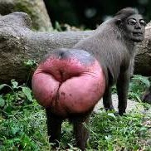 Илья Мэддисон - Очко