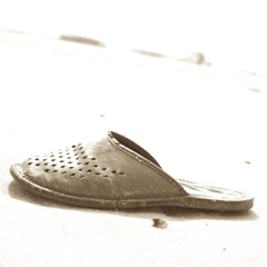 Lost in Transportation