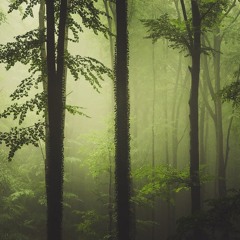Forest Folk