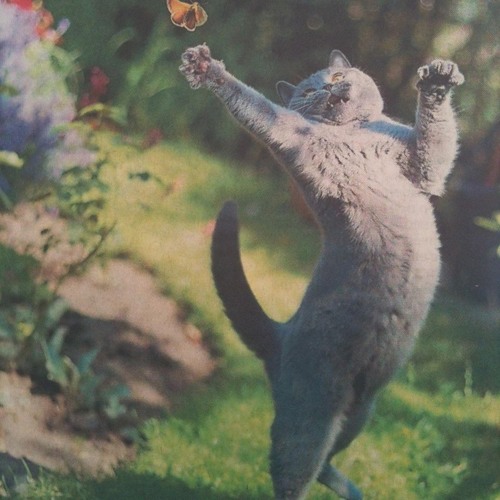 pride - Laniakéa ( Available on Spotify,Deezer, etc)