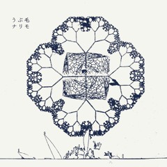 うぶ毛