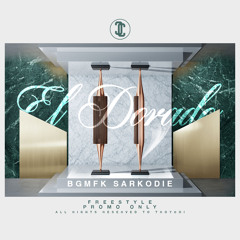 El Dorado (freestyle) ft. Sarkodie (Prod. By TroyBoi) #PROMO