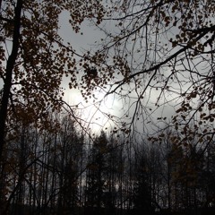 November
