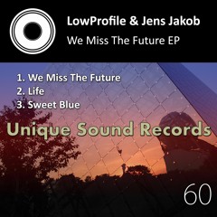 Jens Jakob & LowProfile - We Miss The Future (Original Mix)
