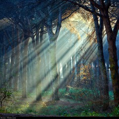 Beren and Luthien - Music Inspired by the Works of Tolkien