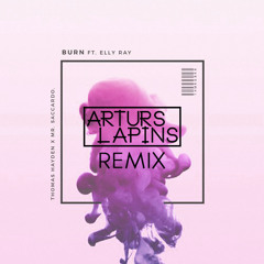 Thomas Hayden & Mr. Saccardo ft. Elly Ray - Burn (Arturs Lapins Remix)