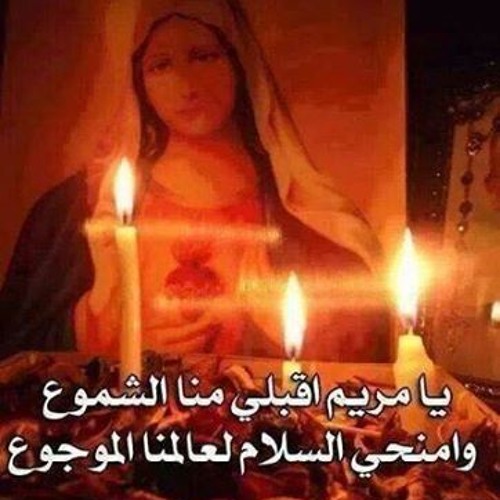 اديــنى جيــت