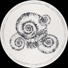 Roberto - Tiziani (Sterac AKA Steve Rachmad Remix)