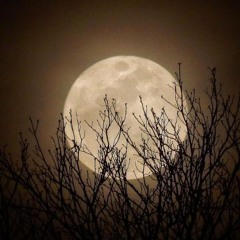 Supermoon Mix - November 2016
