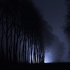 winter-nights-akordion123