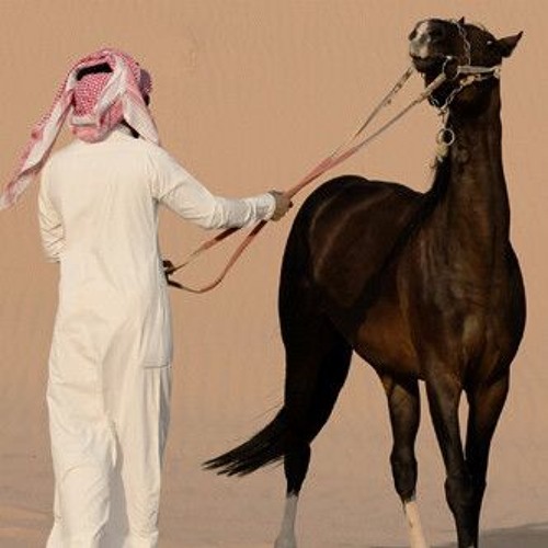 اهلا العربين مرحبتين بدوي