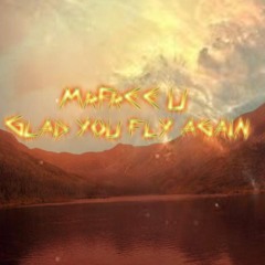 MrFree - Glad You Fly Again