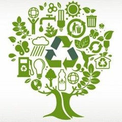 Reciclaje ONG Reciduca