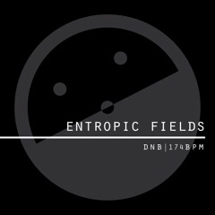 Entropic Fields