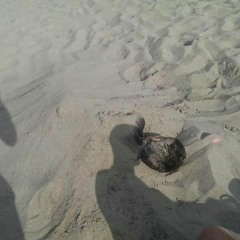 sam roos the beatmaker