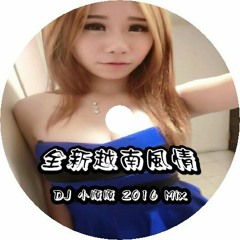 DJ 小順順 - 全新越南風情【越南鼓】