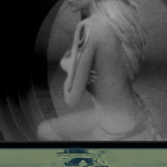 Jenny`s Melodic Transgressions (Re-brushed Mix)