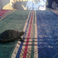 Monumental - José Madero (Ensayo/Cover)