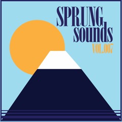 Sprung Sounds Mix - vol. 007
