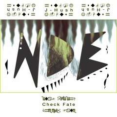 Check Fate (Analog Mix) - J-Hush