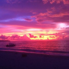 Get lost in Maverick's world