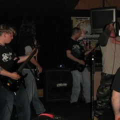 Beer Song (Psychostick Cover)