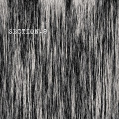 section 8/tale