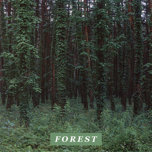 Driver - Forest Full BeatTape