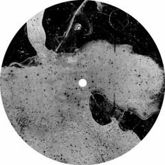 Hiver - Phonotis