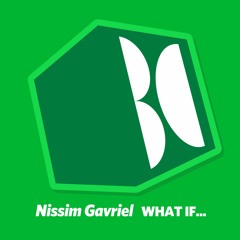 Nissim Gavriel - What If Money Was No Object Feat. Alan Watts (Original Mix)