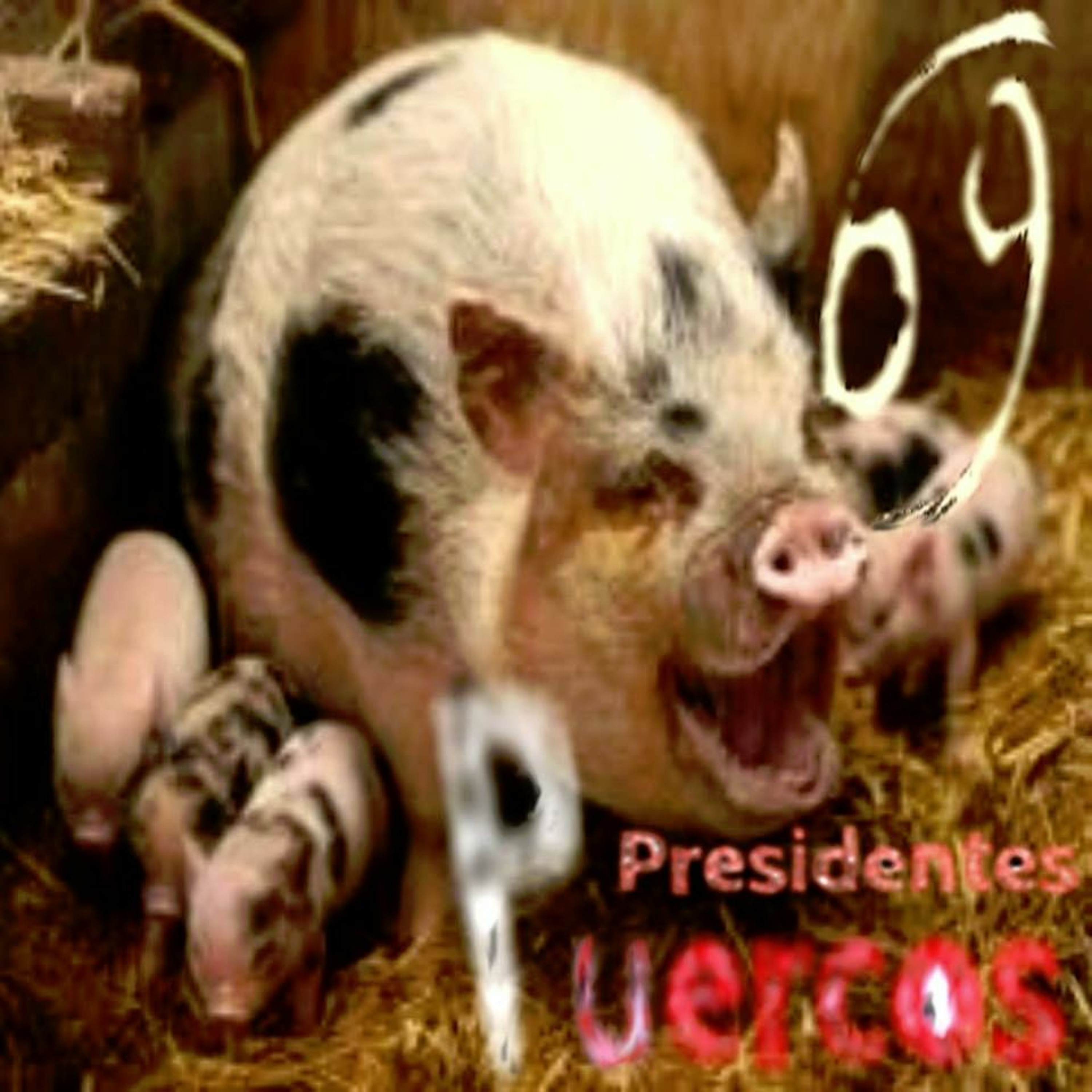 Deicida 69
