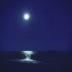 Moonlit