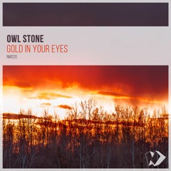 Owl Stone - Gold In Your Eyes (Original Mix)