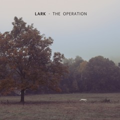 Lark - The Operation
