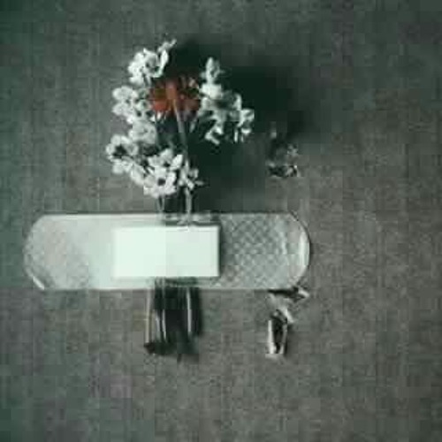 كمَا الشُوكُ لَا يُعطِي الرَحِيقَ وَلَا العِنب *كُنْ رَاضِيًا