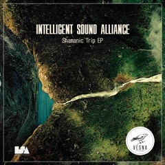 Intelligent Sound Alliance - The Door To The Stars