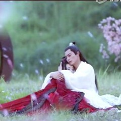 Kinh hồng nhất diện