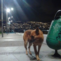 Viajero Solitario, Junto con el Mundo