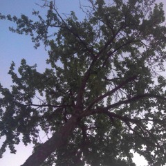 forgive me i know i was wrong.