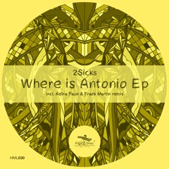 Two Sicks - Where Is Antonio ( Adina Paun Remix )