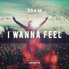 SSAM - I Wanna Feel (Original Mix)